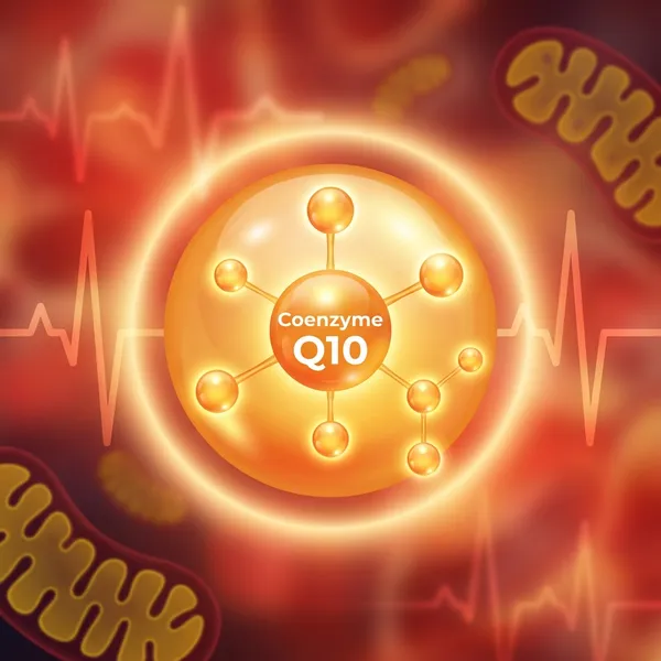 코큐텐(CoQ10), 심장을 위한 엔진오일 (유비퀴논 vs 유비퀴놀)